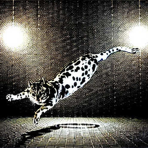 The Odds of Tehran: A Prediction Market's Data Anomaly